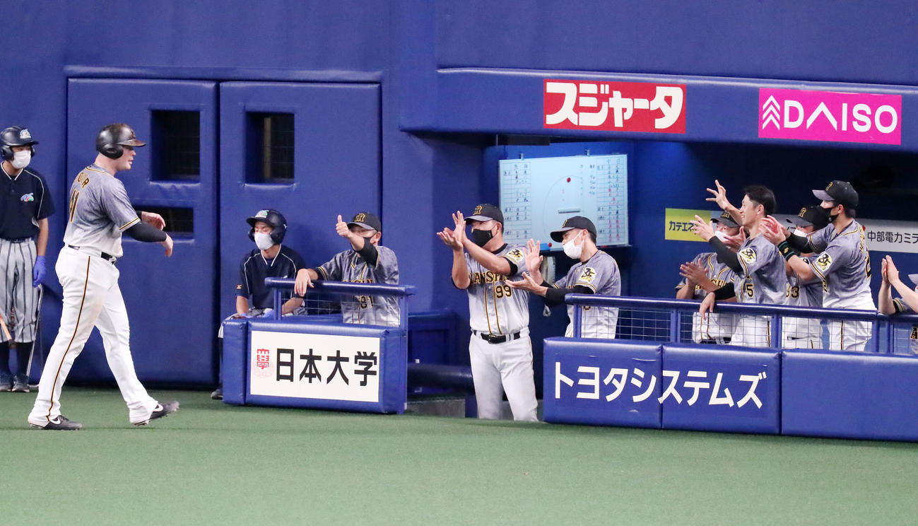 中日対阪神　6回表阪神2死、ボーア（左）は左越え本塁打を放ちベンチの矢野監督（中央右）らとエアタッチする（撮影・加藤哉）