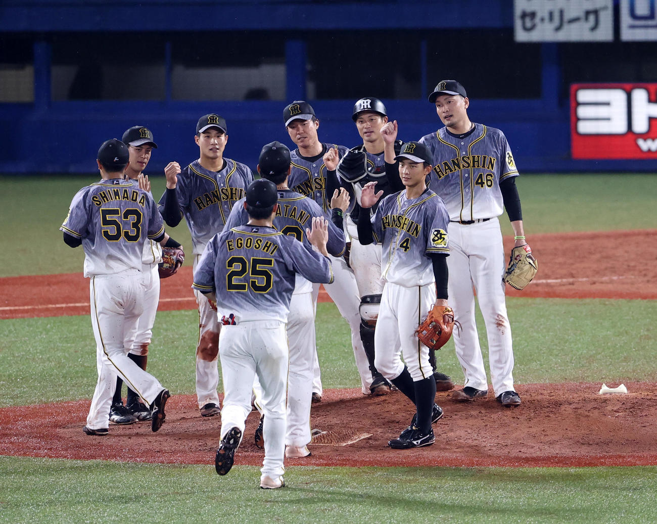 ヤクルト対阪神　完投勝利を決め、笑顔でナインを迎える秋山（右）（撮影・浅見桂子）