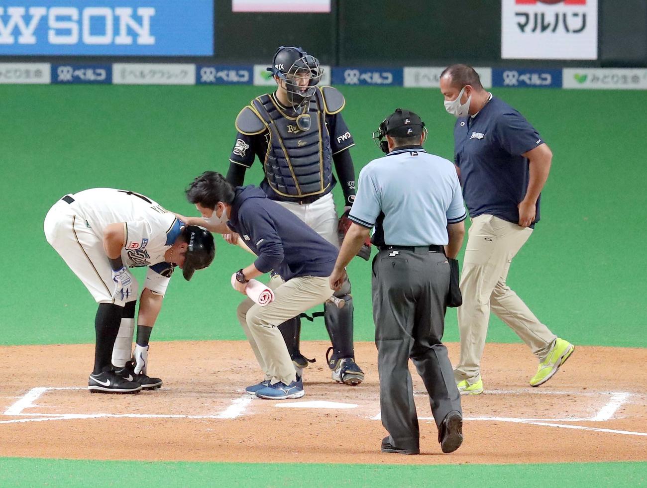 日本ハム対オリックス　6回裏日本ハム無死一塁、ビヤヌエバは打撃後痛がる（撮影・佐藤翔太）