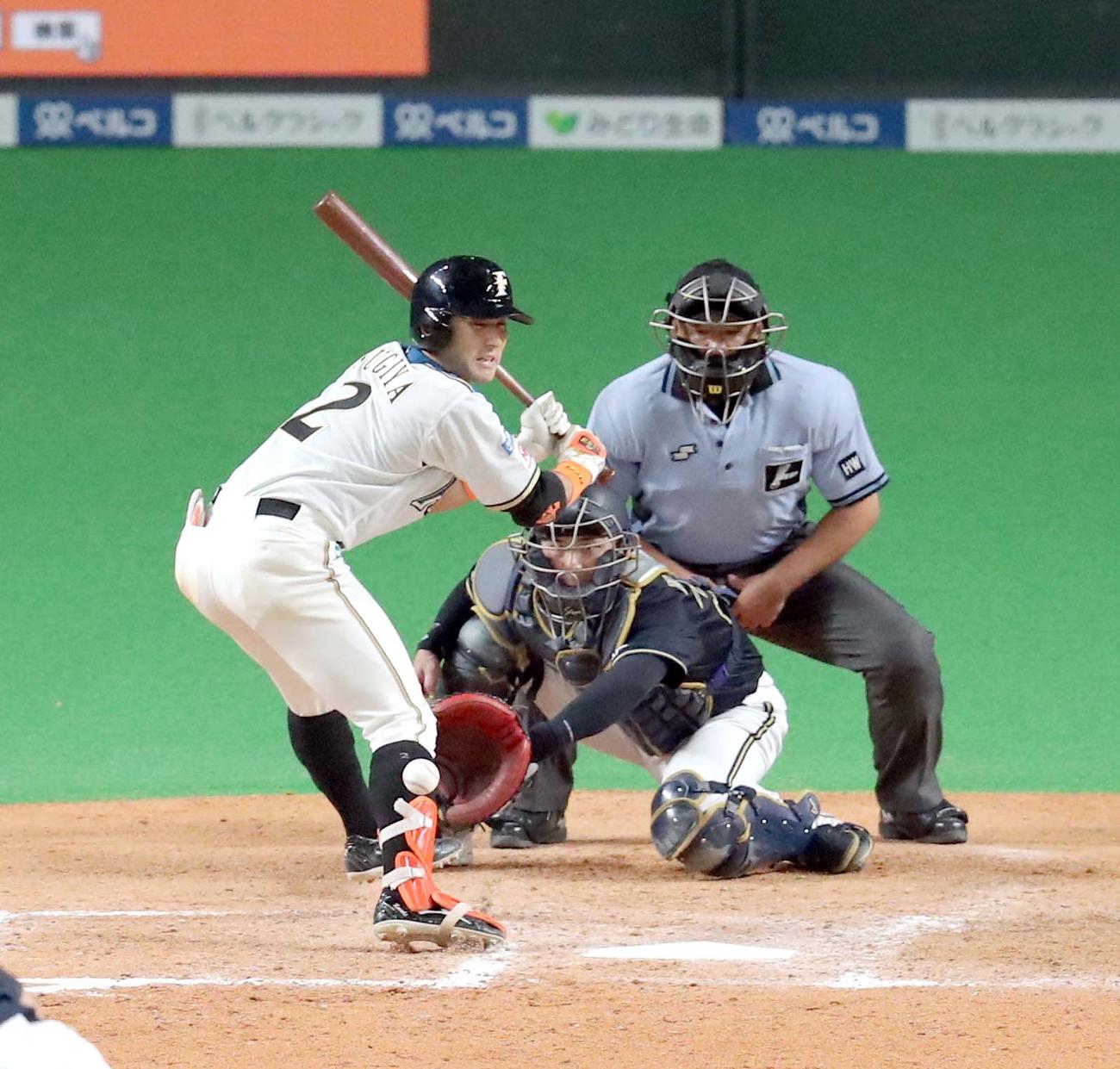 日本ハム対オリックス　8回裏日本ハム1死一、三塁、杉谷は死球を受ける（撮影・佐藤翔太）