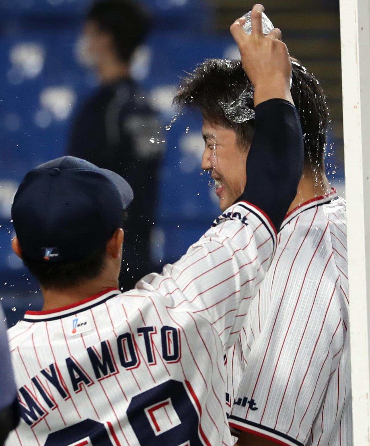 ヤクルト対阪神　ヒーローインタビュー後、宮本（手前）に水を掛けられる村上（撮影・狩俣裕三）