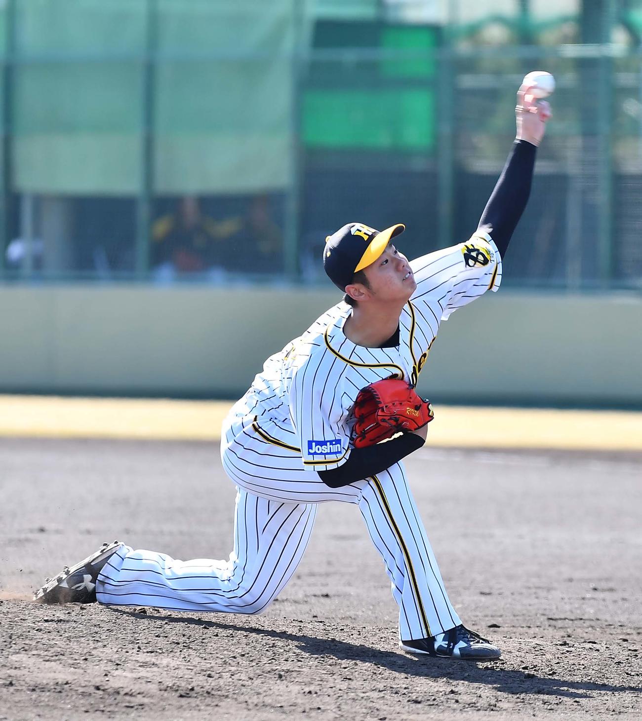阪神川原陸