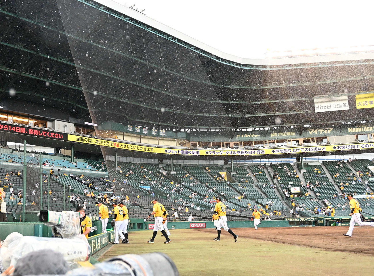 突然の夕立にシートノックを途中で切り上げベンチに引き揚げる阪神ナイン（撮影・上田博志）