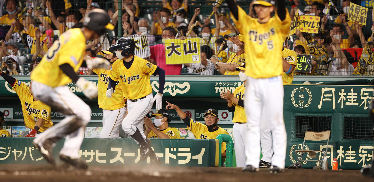 阪神対DeNA　6回裏阪神1死二、三塁、大山悠輔の逆転2点適時打に歓喜の矢野耀大監督ら阪神ベンチ（撮影・清水貴仁）