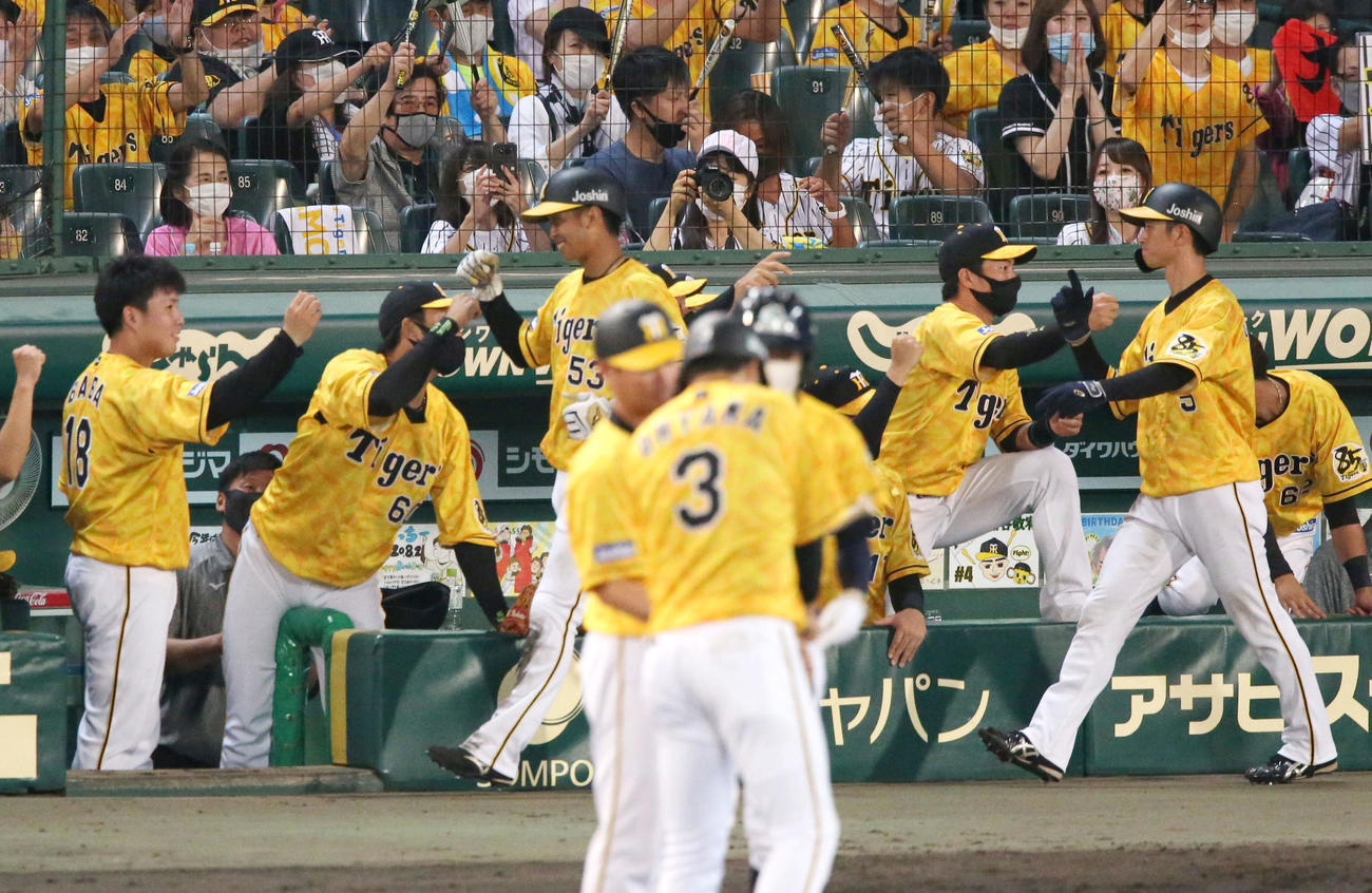 阪神対DeNA6回裏阪神1死二、三塁、大山悠輔の逆転の左前2点適時打で生還の島田（手前左）と近本（手前右）を出迎える馬場（左）（撮影・上山淳一）