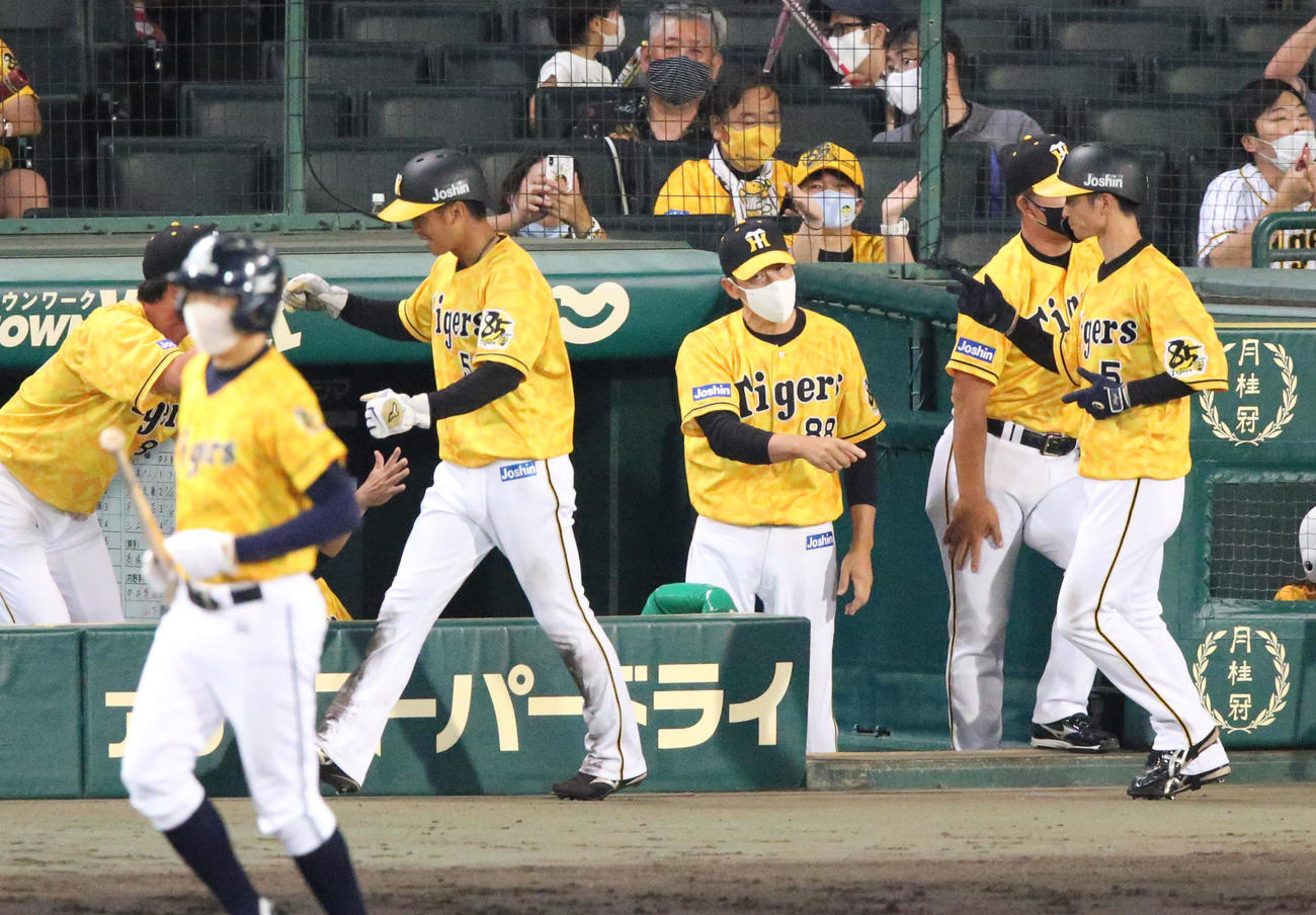 阪神対DeNA　6回裏阪神1死二、三塁、大山の逆転の左前2点適時打で生還の島田（手前左）と近本（手前右）を出迎える矢野監督（右から2人目）（撮影・上山淳一）
