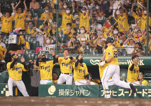 阪神対巨人　6回裏阪神1死二塁、2点本塁打を放ったサンズ（右手前）を迎える阪神ナイン（撮影・河野匠）