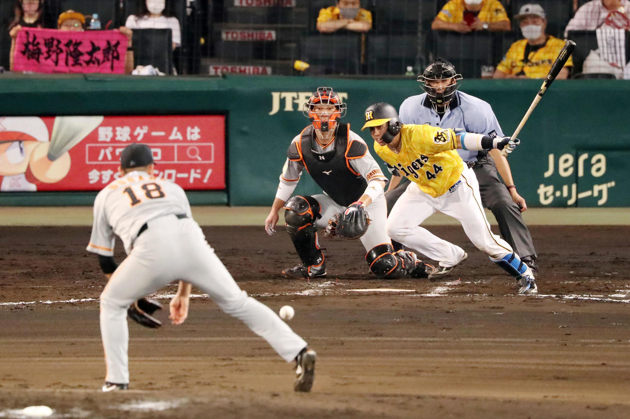 阪神対巨人　7回裏阪神無死、梅野の打球を右足で止めて投ゴロとする菅野（撮影・加藤哉）