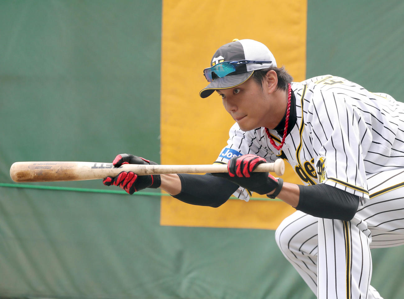 阪神対巨人　試合前練習でバント練習を行う阪神藤浪（撮影・前田充）