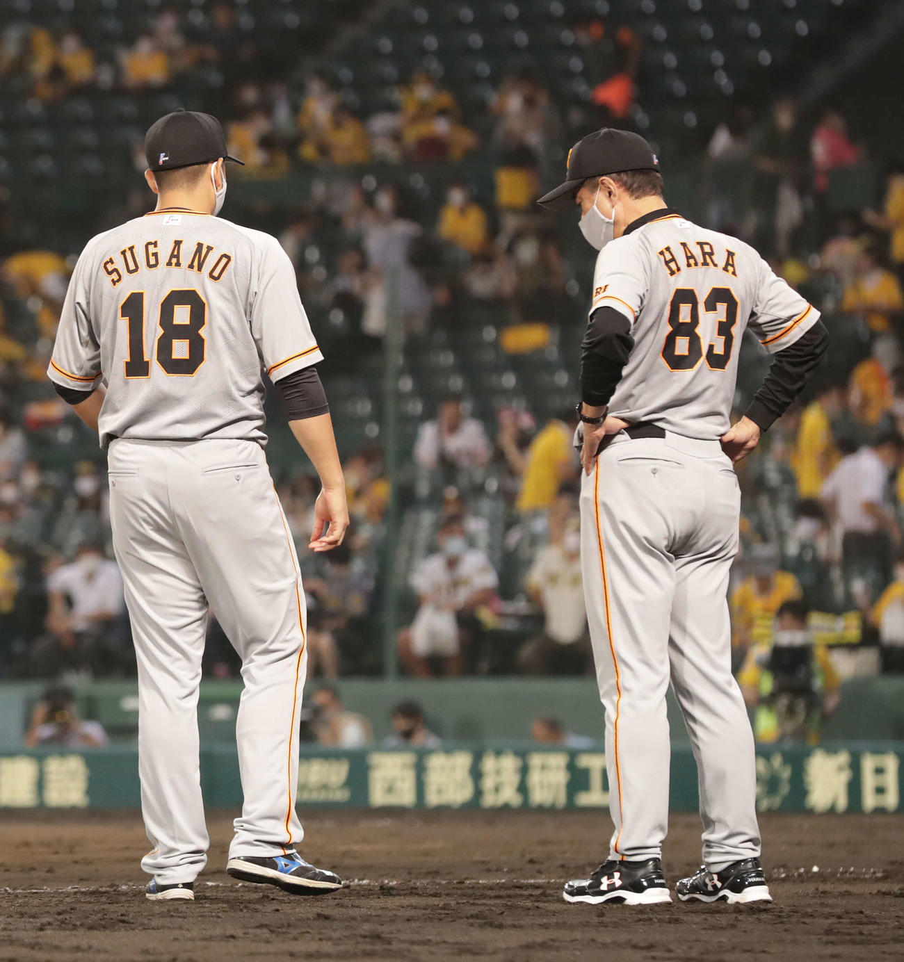 阪神対巨人　阪神を下し、ベンチを出た原監督（右）は菅野の足を見つめる（撮影・河野匠）