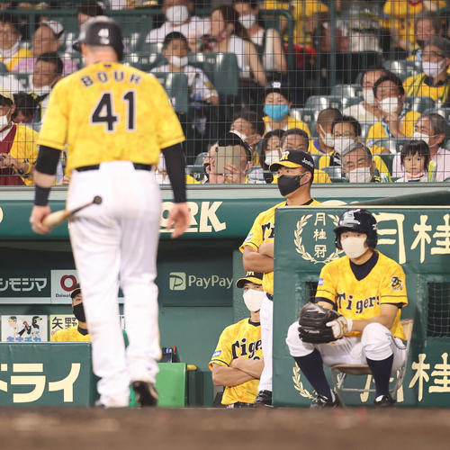 阪神対巨人　7回裏阪神1死、ボーア（手前）が三振に倒れ、ベンチで険しい表情を見せる矢野監督（右から3人目）（撮影・河野匠）