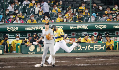 阪神対巨人　9回裏阪神2死、代打北條は遊ゴロを放ち試合終了。ベンチのナインも悔しそう…（撮影・加藤哉）