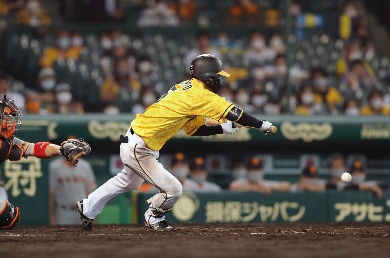 阪神対巨人　8回裏阪神1死一、二塁、投前へバントヒットを決める近本（撮影・前田充）