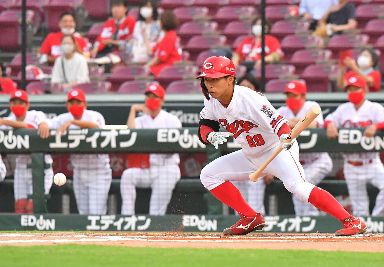 広島対阪神　1回裏広島無死一塁、送りバントを決める羽月隆太郎（撮影・上田博志）＝2020年8月7日、マツダスタジアム