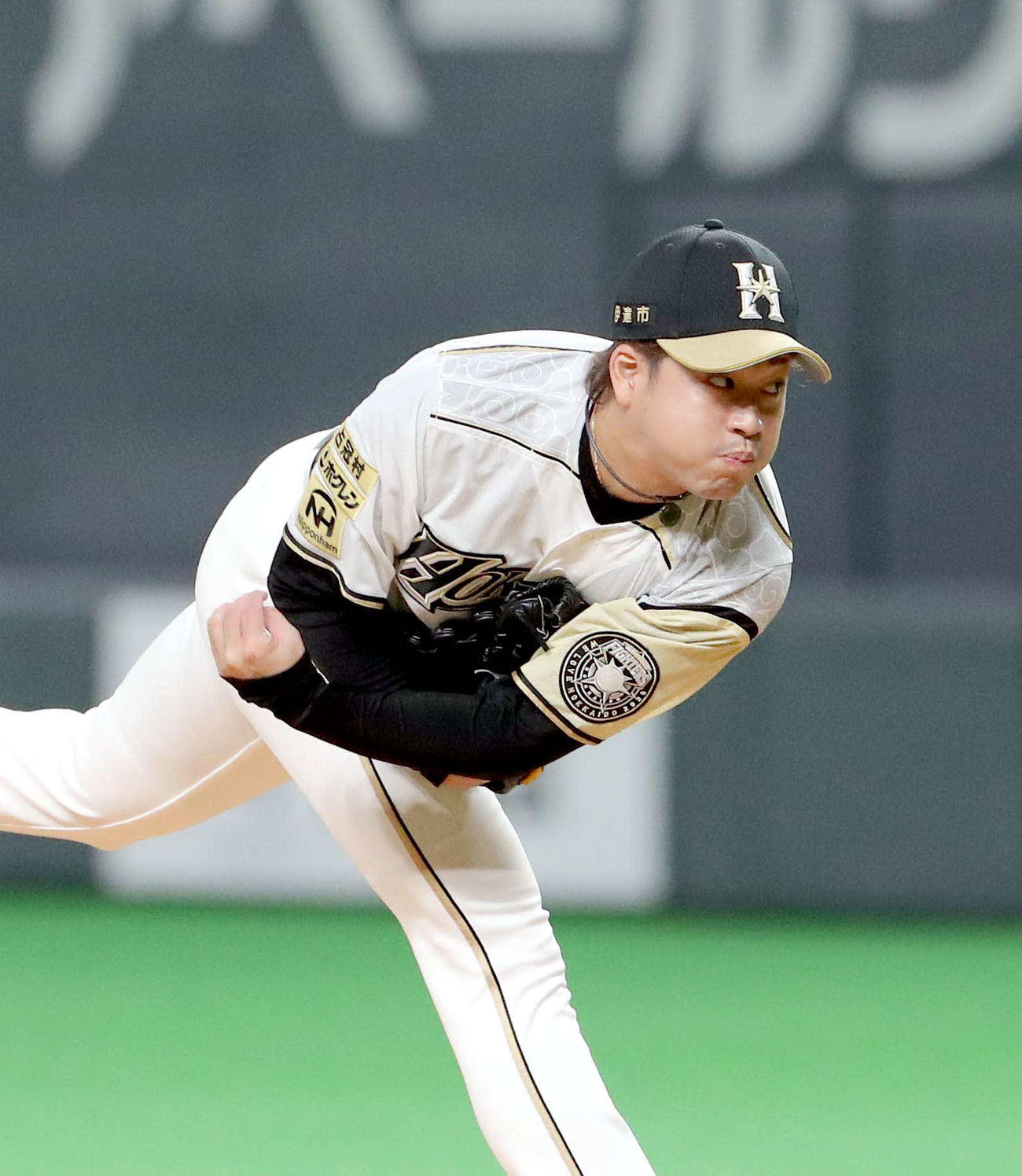 日本ハム対西武　9回途中から登板する日本ハム堀（撮影・佐藤翔太）