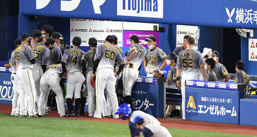 DeNA対阪神 4回表の攻撃を前に阪神矢野監督(中央)は円陣を組む選手たちを見守る(撮影・山崎安昭)