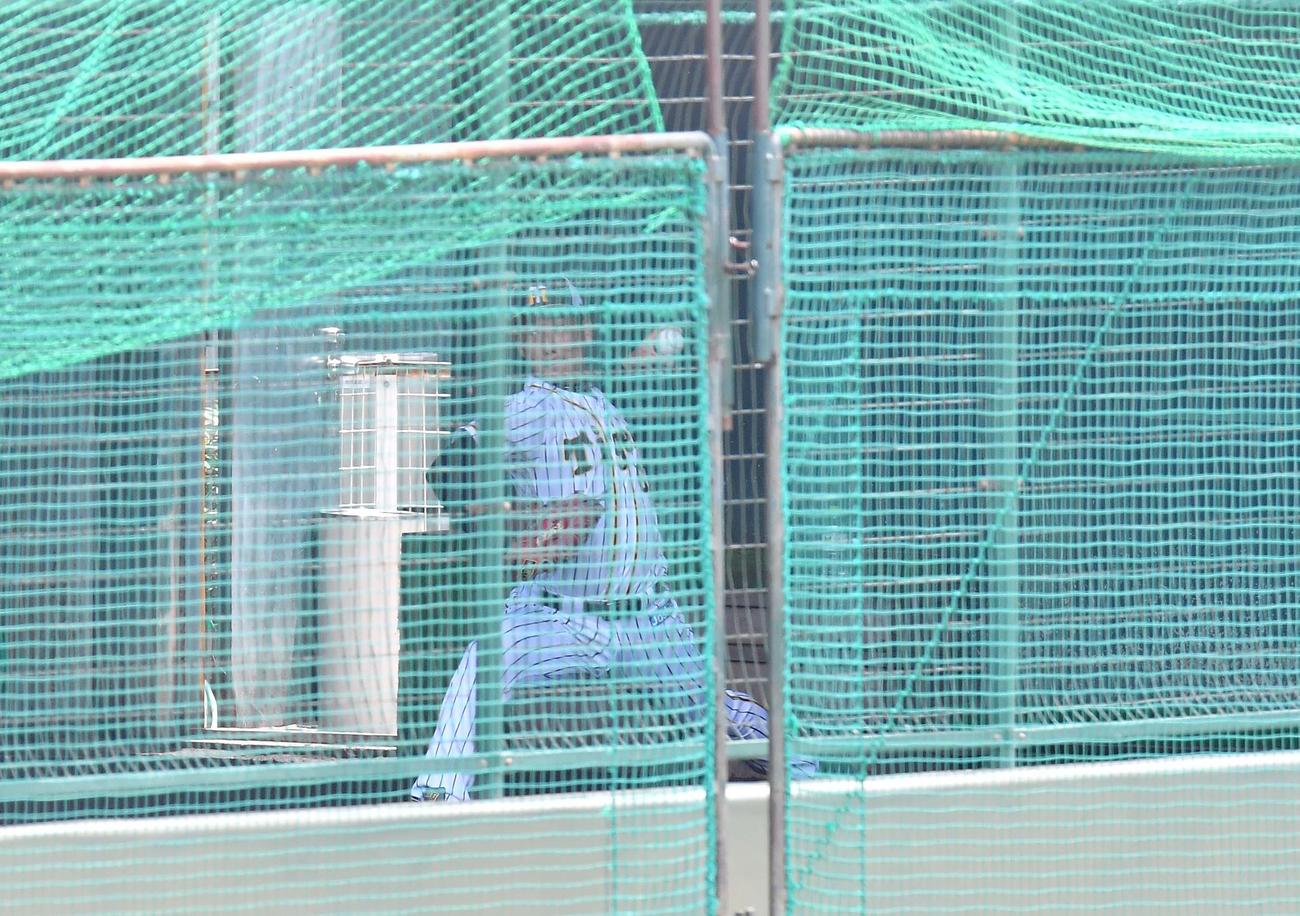 ブルペンで投球練習をする阪神岩崎（撮影・上田博志）