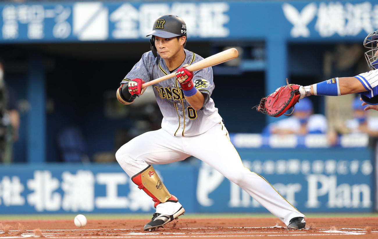 DeNA対阪神　1回裏阪神無死二塁、犠打を決める木浪（撮影・前田充）