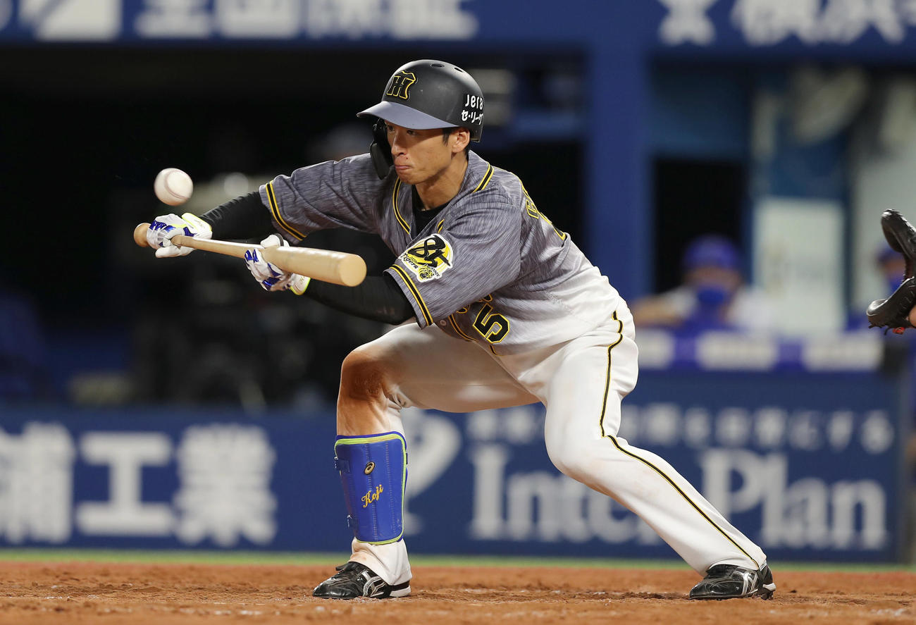 DeNA対阪神　9回表阪神無死一、二塁、バントヒットを決める近本（撮影・前田充）