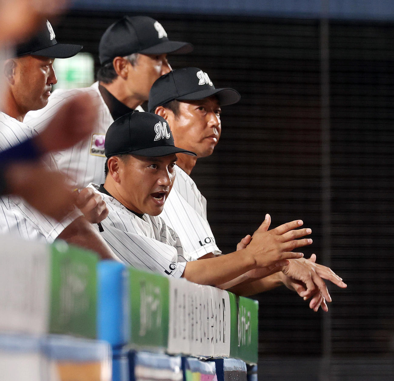 ロッテ対日本ハム　6回裏ロッテ2死三塁、代打角中が四球で好機を広げベンチでほえる井口監督（中央）（撮影・垰建太）