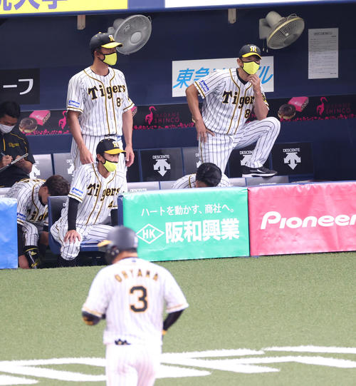 阪神対広島　5回裏阪神無死、右飛に倒れた大山悠輔と矢野耀大監督（撮影・清水貴仁）