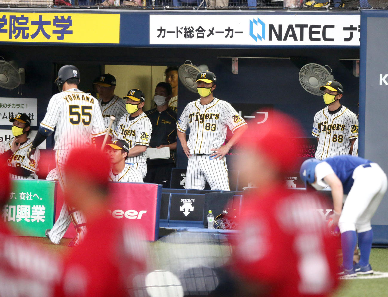 矢野監督（右）は森下に完封で敗れ、グラウンドを見つめる（撮影・上山淳一）