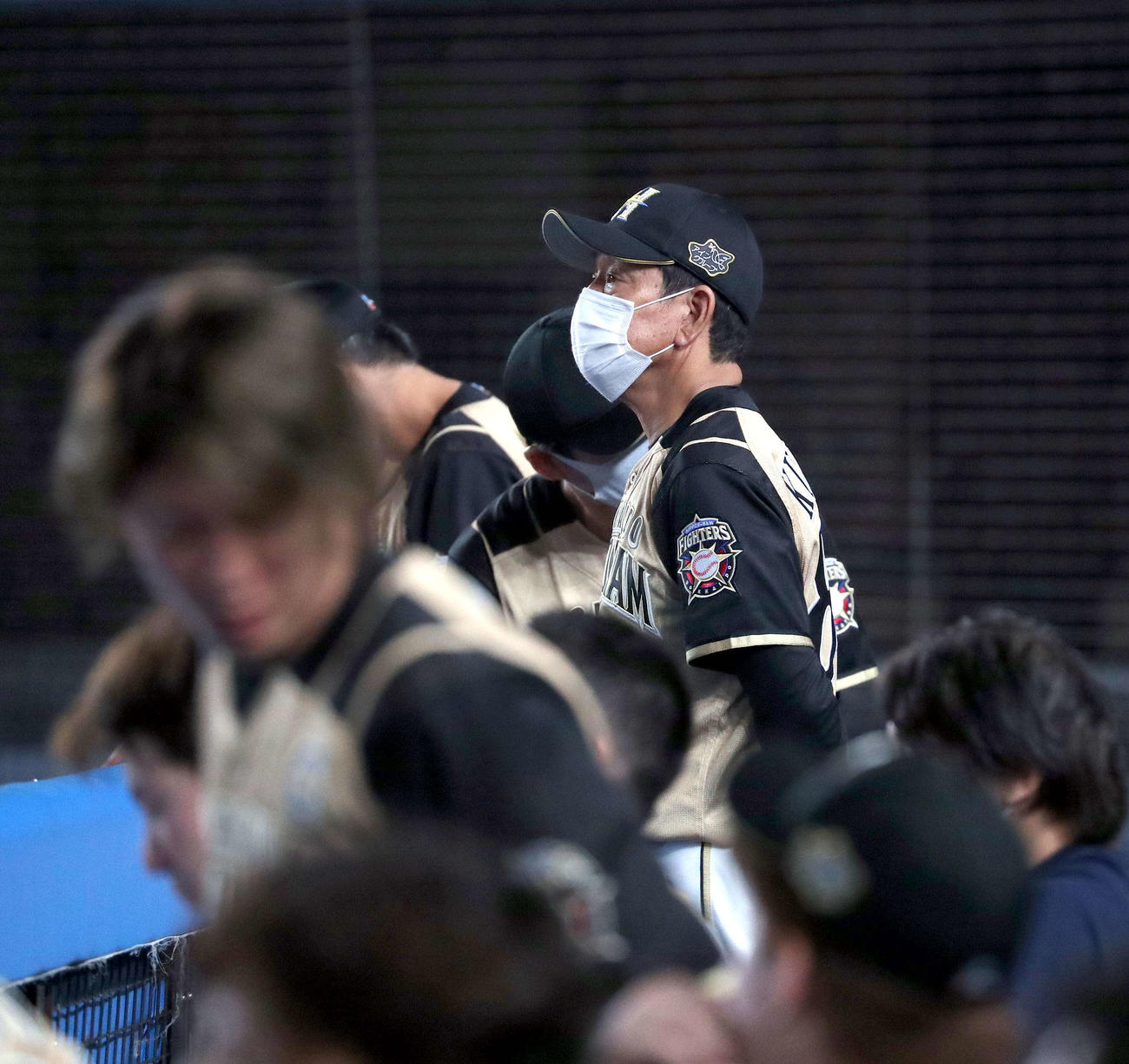ロッテ対日本ハム　グラウンドを見つめる日本ハム栗山監督（撮影・佐藤翔太）