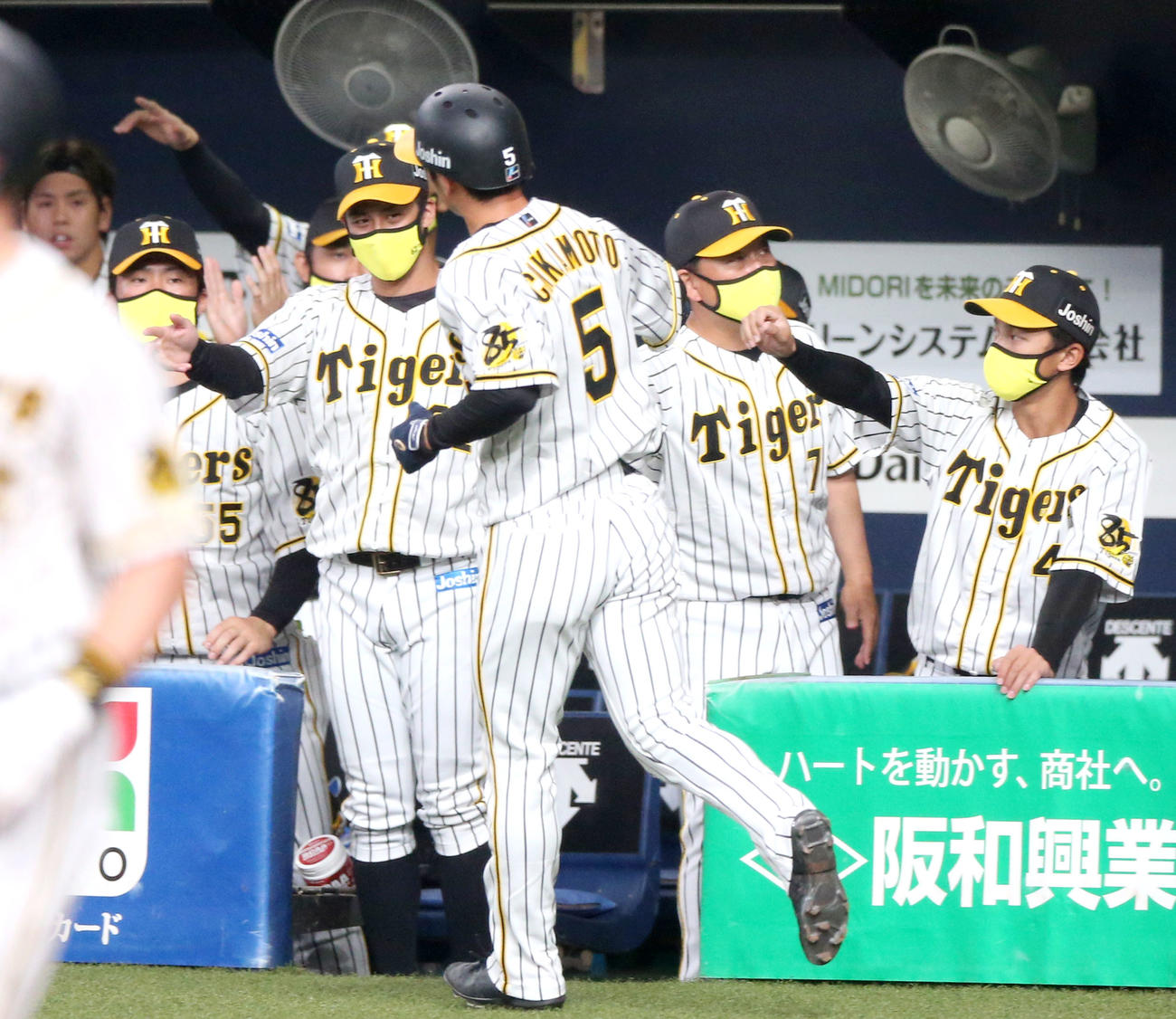 阪神対広島　5回裏阪神無死二塁、糸井の中前適時打で生還の近本（手前）を出迎えるベンチ（撮影・上山淳一）