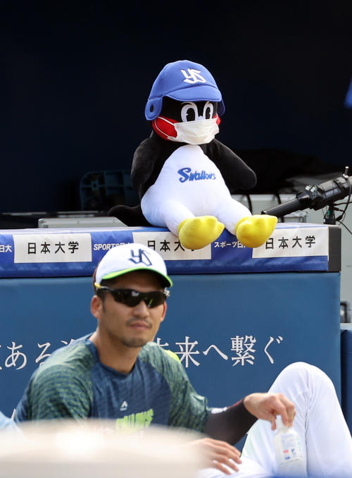 DeNA対ヤクルト　ベンチの端に置かれたつば九郎（撮影・大野祥一）