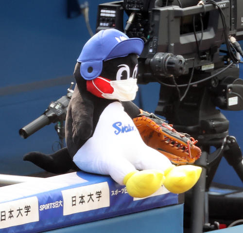 DeNA対ヤクルト　グラブをはめたつば九郎（撮影・大野祥一）