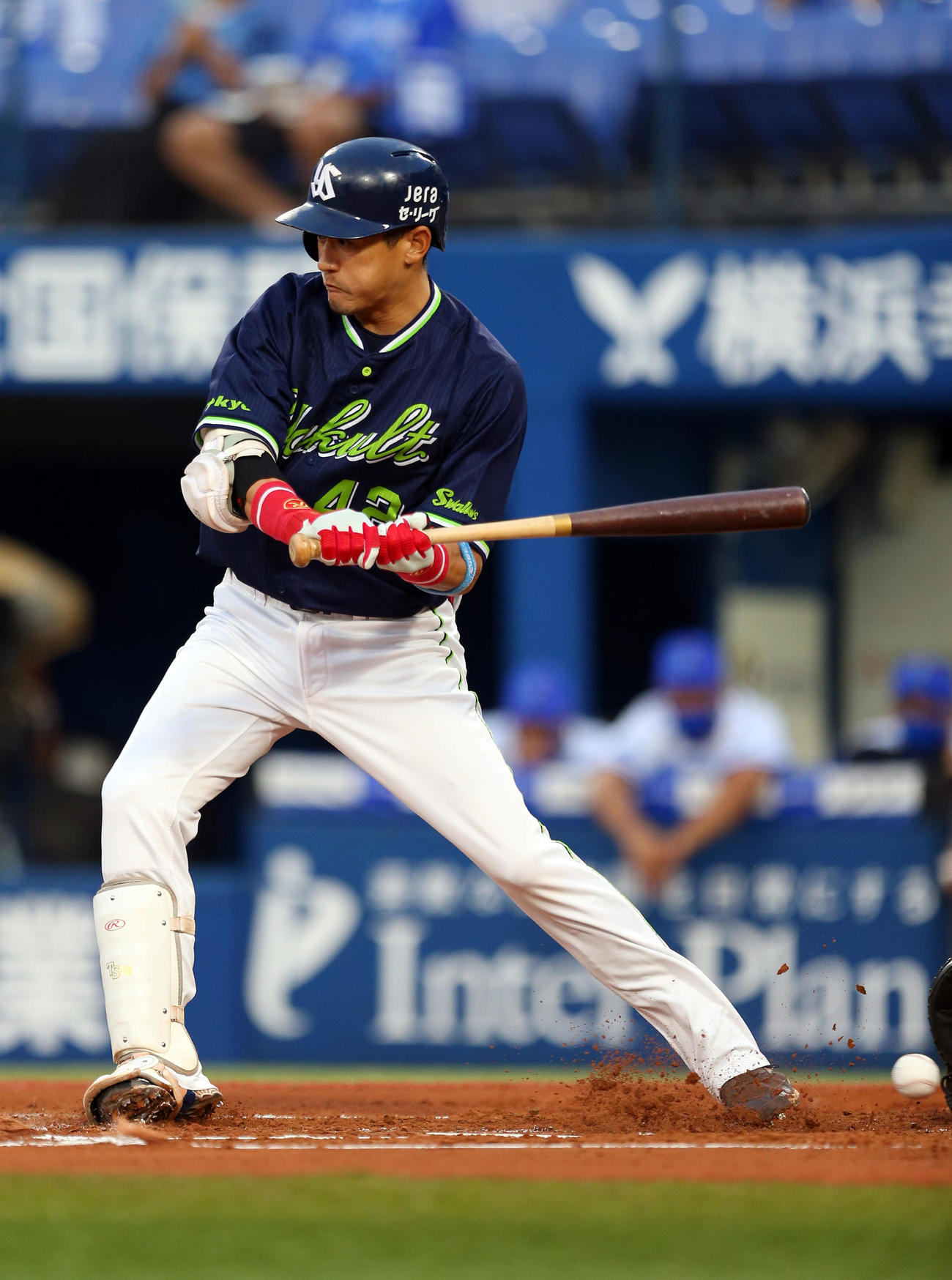 DeNA対ヤクルト　1回表ヤクルト1死二、三塁、死球を受ける坂口（撮影・大野祥一）
