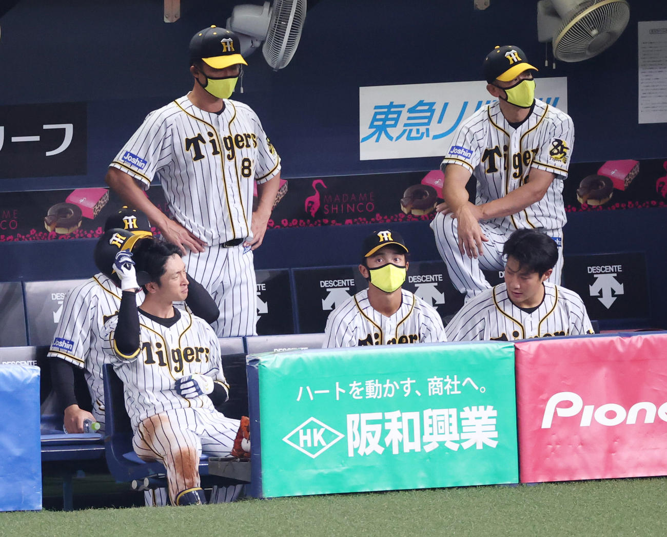 遊直に倒れる近本光司と矢野耀大監督（撮影・清水貴仁）
