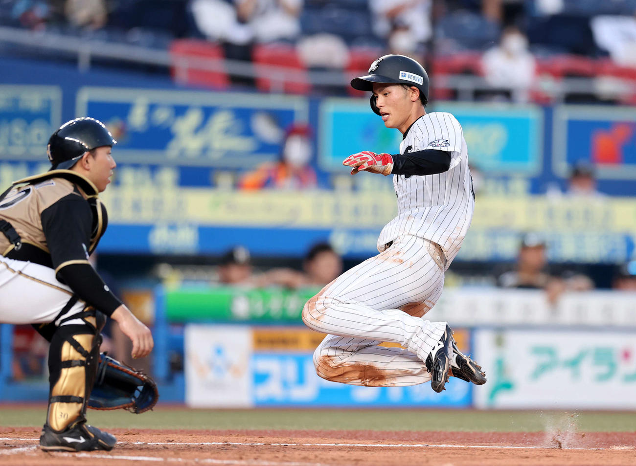 3回裏ロッテ1死一、三塁、安田の左犠飛で和田が生還。捕手宇佐見（撮影・鈴木正人）