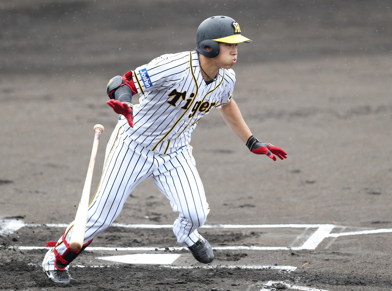 阪神遠藤成（2020年6月13日撮影）