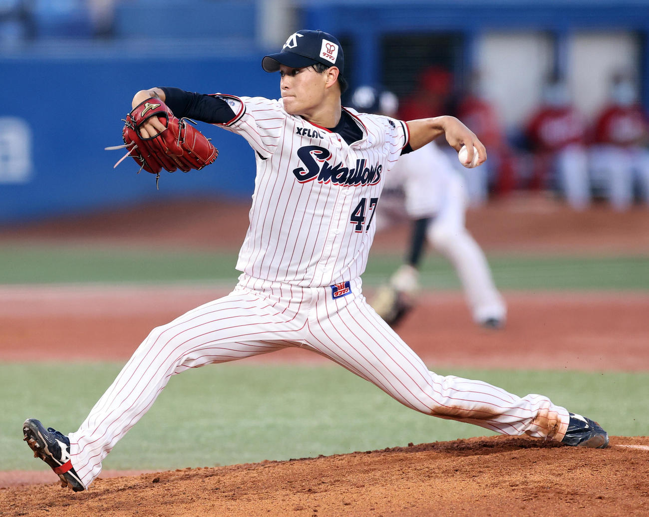 ヤクルト高橋奎二（2020年8月6日撮影）