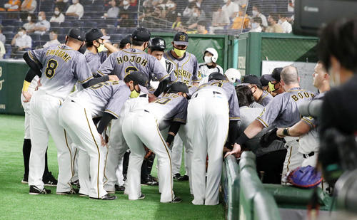 巨人対阪神　4回表、ベンチで円陣を組む阪神ナイン（撮影・加藤哉）