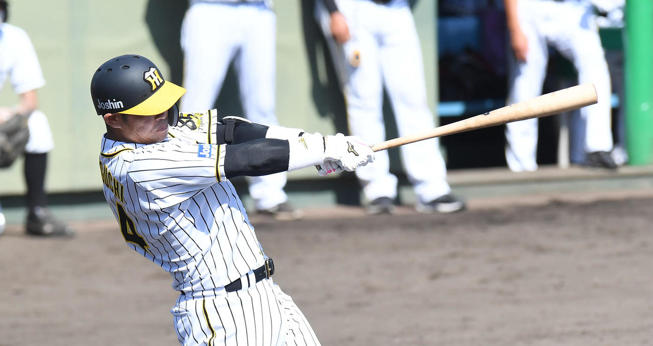 ウエスタン・リーグ　阪神対ソフトバンク　6回、右前に安打を打つ阪神・原口文仁（代表撮影）