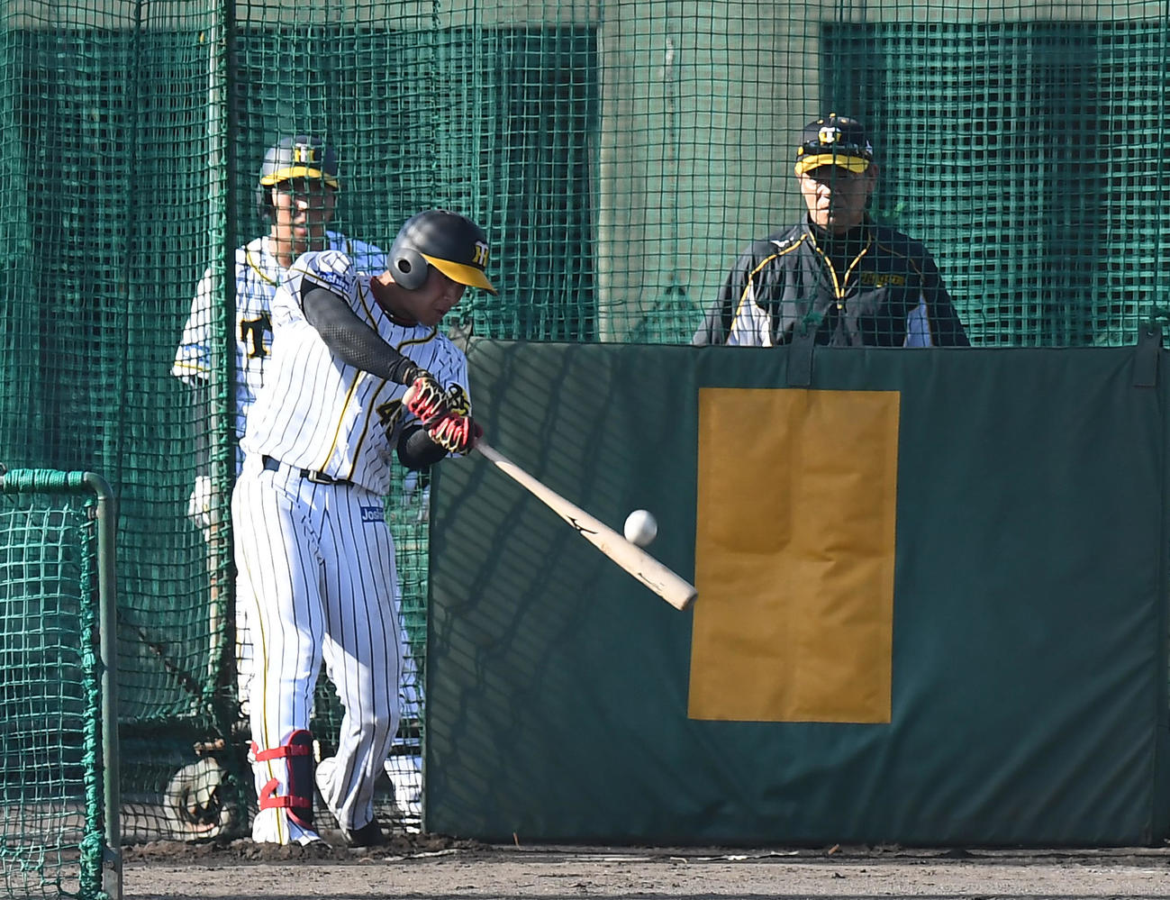ウエスタン・リーグ　試合後に居残り特打をする阪神・遠藤成、後ろは和田豊TA（代表撮影）