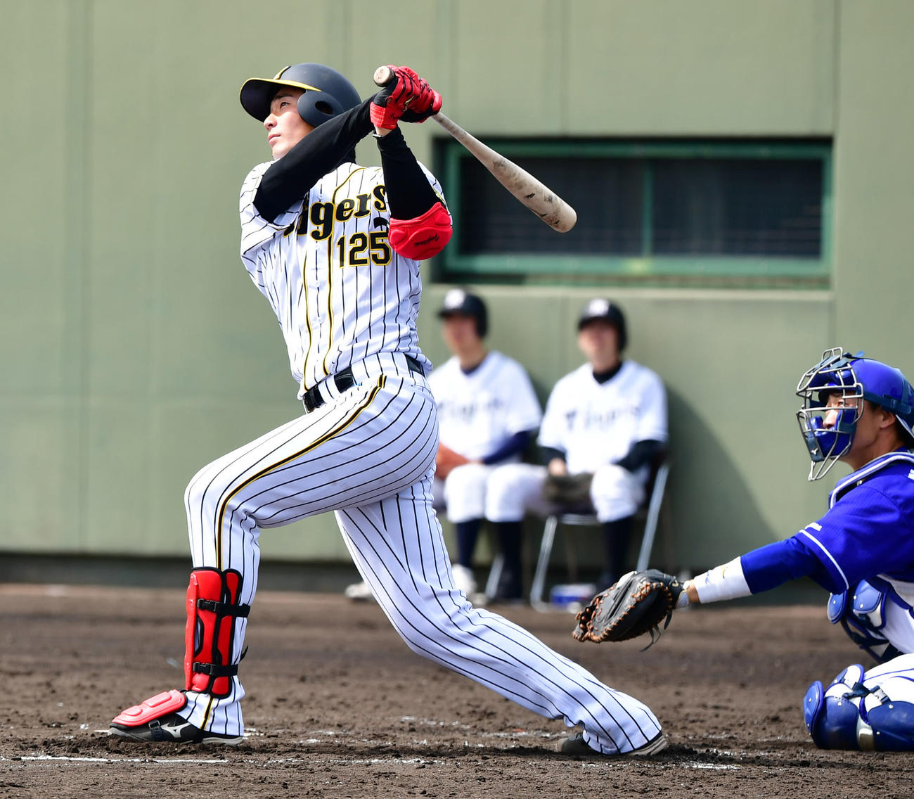 阪神藤谷