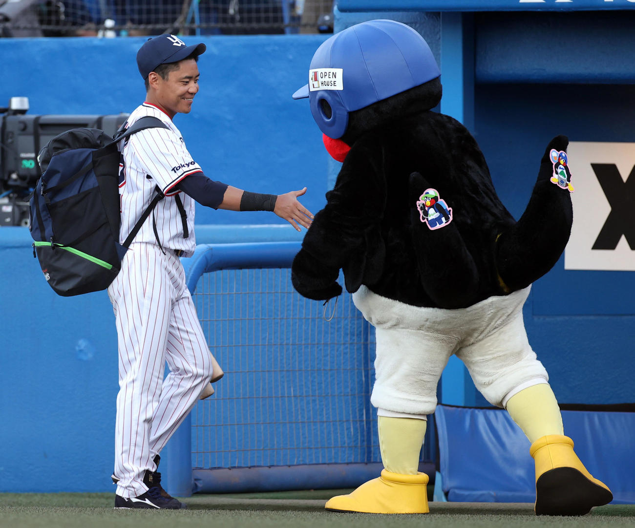 ヤクルト対中日　試合前、1軍に復帰し、つば九郎（右）と握手を交わす中村（撮影・狩俣裕三）