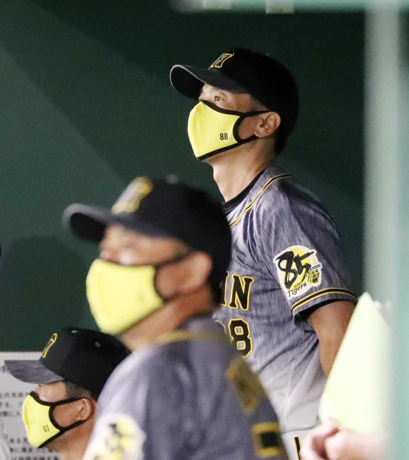 巨人対阪神　7回表、ベンチから試合展開を見守る矢野監督（撮影・加藤哉）