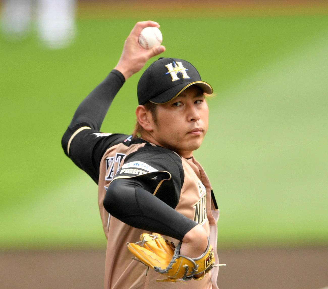 日本ハム加藤（2020年6月27日撮影）