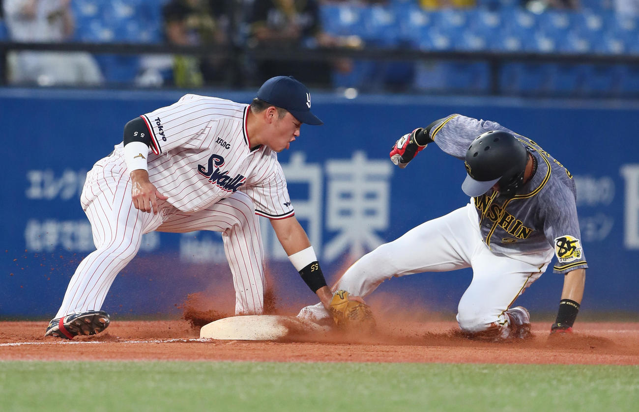 ヤクルト対阪神　2回表阪神無死二塁、二塁走者大山（右）は三塁アウト判定となるもリクエストの結果判定が覆りセーフとなる（撮影・足立雅史）