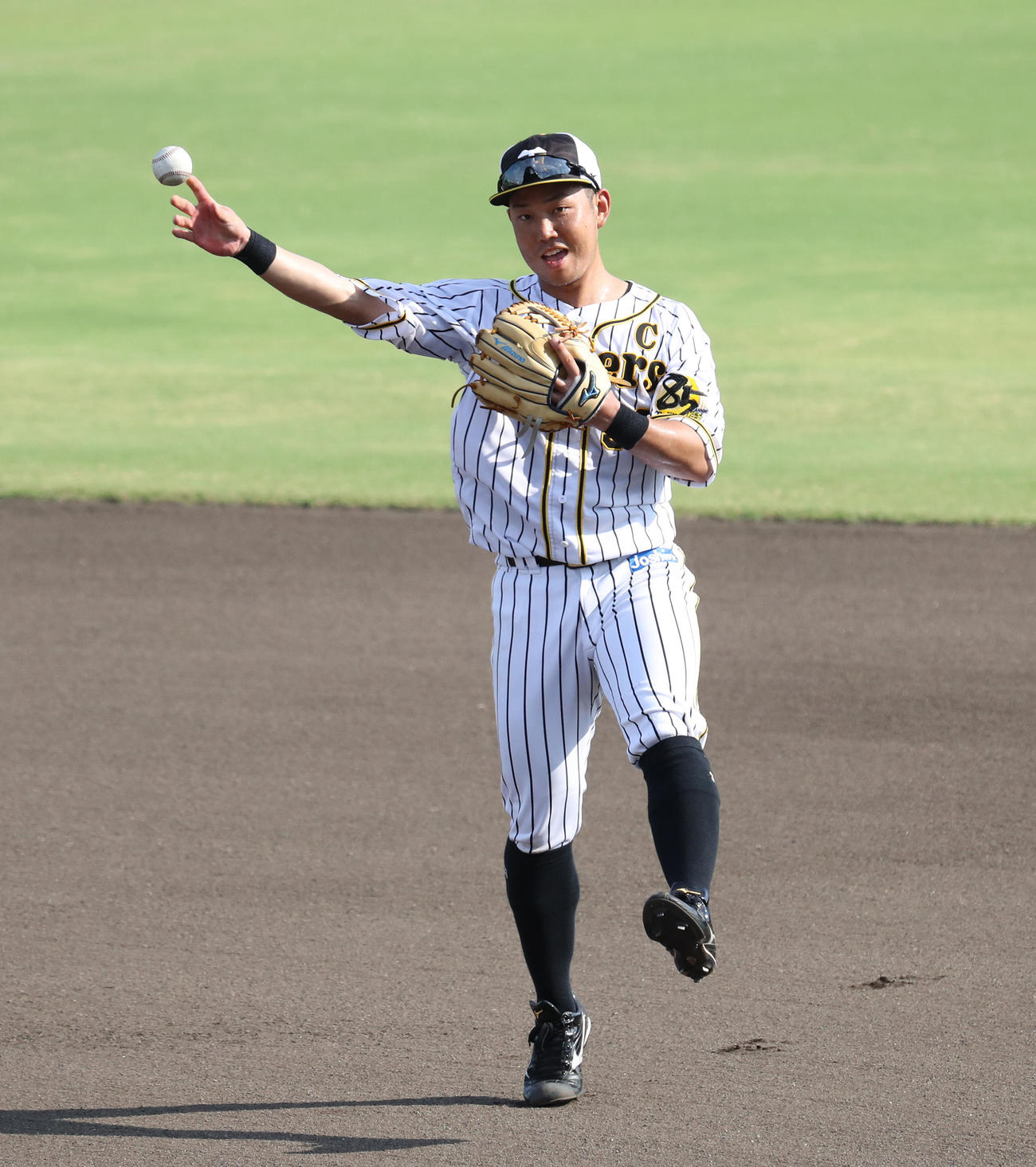 ノックを受ける阪神糸原健斗（代表撮影）
