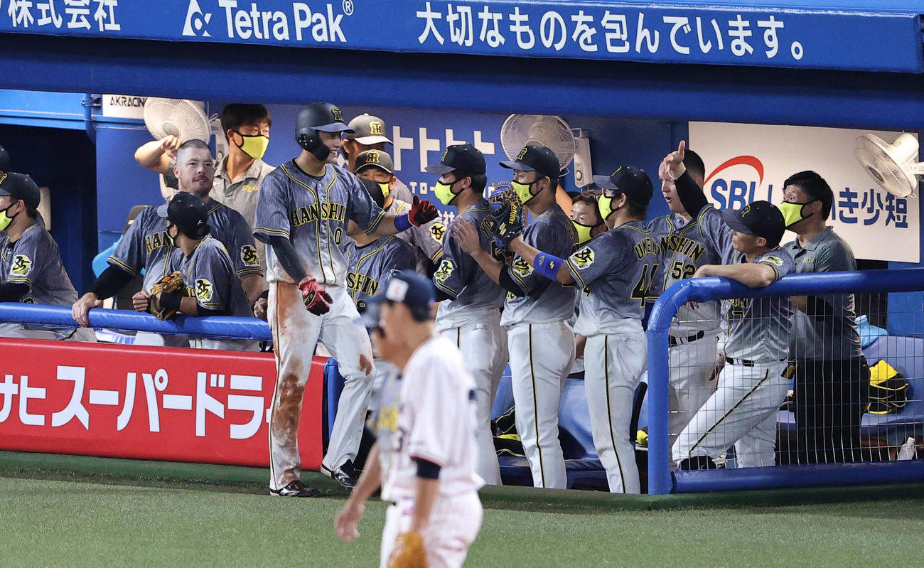 ヤクルト対阪神　5回表阪神無死一、三塁、秋山のスクイズで生還した木浪（手前）はナインとハイタッチ（撮影・浅見桂子）