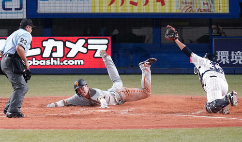 ヤクルト対巨人　4回表巨人2死一塁、吉川尚の二塁打で生還を狙うも走塁死する大城。捕手西田（撮影・江口和貴）