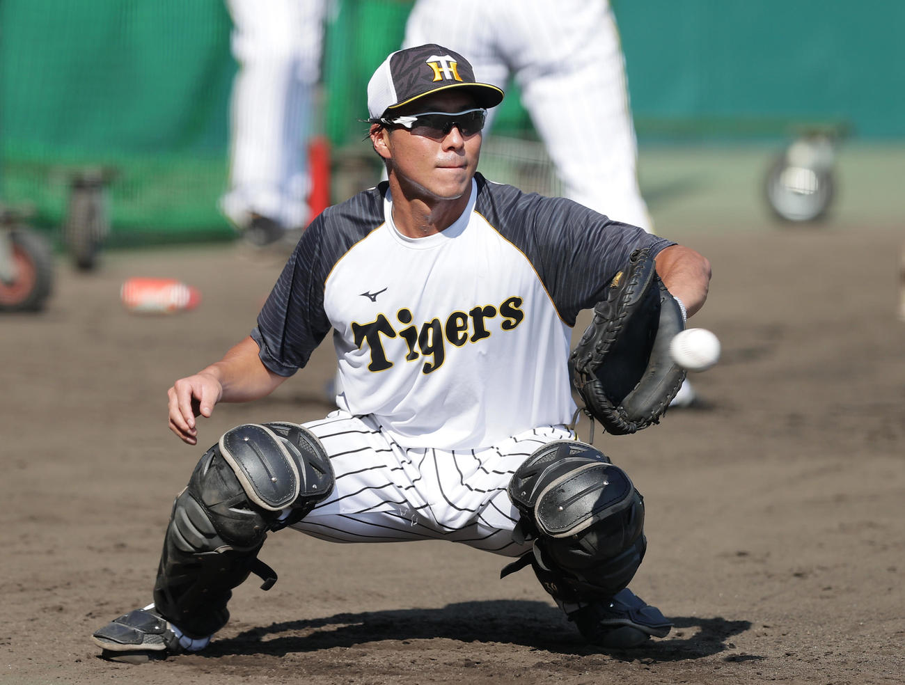 阪神対中日　1軍に合流し試合前練習を行う阪神長坂（撮影・前田充）