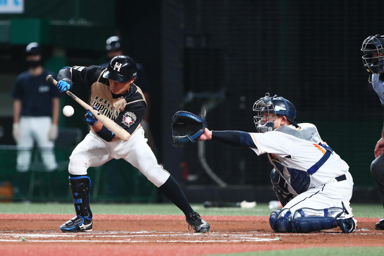 西武対日本ハム　2回表日本ハム1死三塁、スクイズを決める中島。捕手森（撮影・足立雅史）