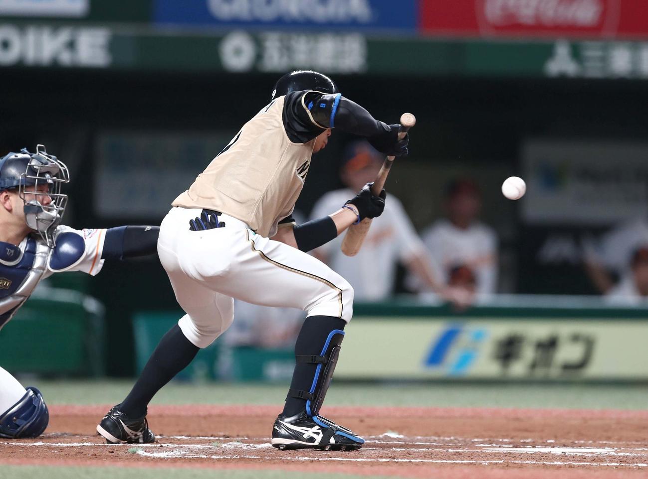 西武対日本ハム　2回表日本ハム1死三塁、スクイズを決める中島（撮影・黒川智章）