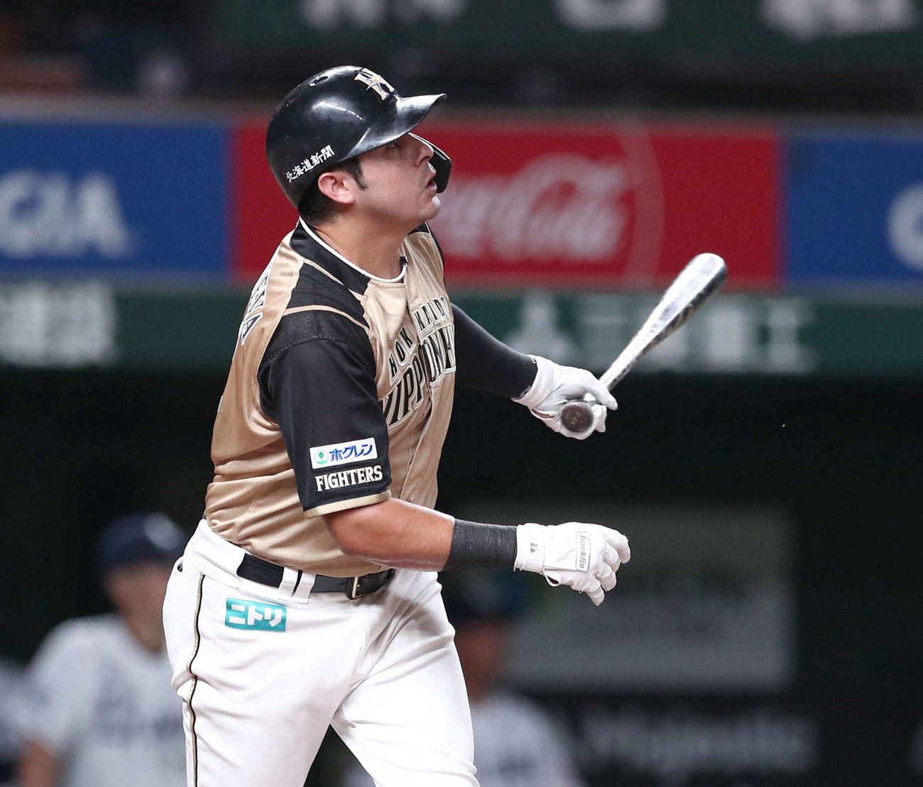 西武対日本ハム　2回表日本ハム1死一、二塁、左越え3点本塁打を放つビヤヌエバ（撮影・黒川智章）
